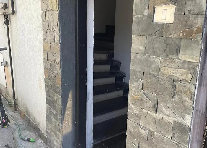 Carol Park Apartman Bukarest